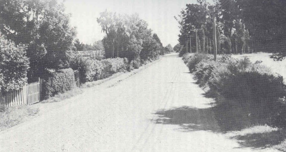 Blenheim Road 1947 Discover The Delights Of Peeling Back History